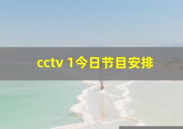 cctv 1今日节目安排